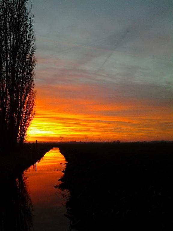 Penzion Boerderij Honswijck Weesp Exteriér fotografie